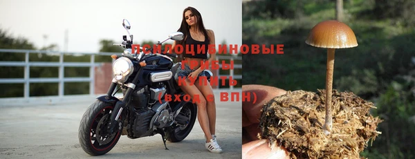 мескалин Туринск